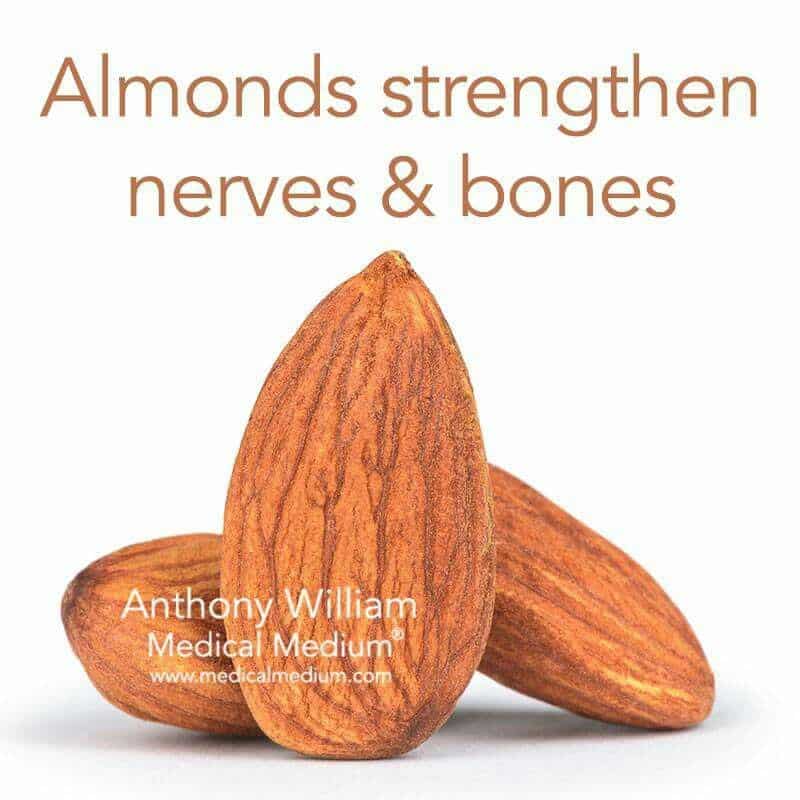 Almonds. Nerves. Bones